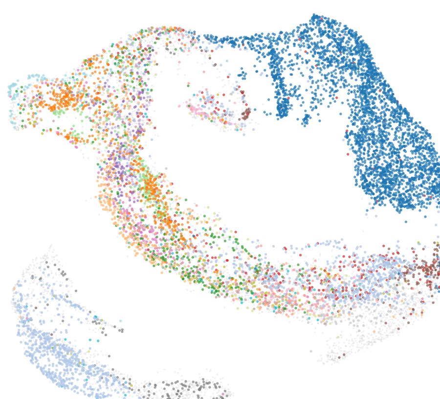 A UMAP scatter plot of canine genome embeddings. Thousands of small coloured points form arcs and lobes, with one large tightly clustered blue group at the upper right.